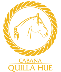 logotipo cabaña quilla hue transp