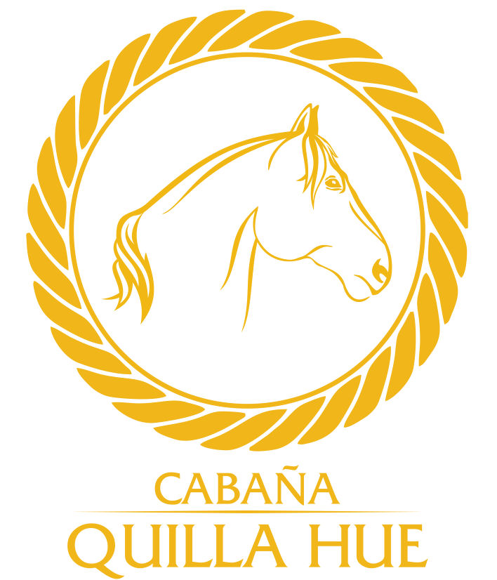 logotipo cabaña quilla hue transp