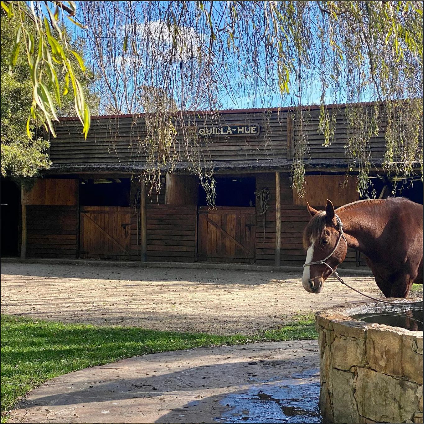 whatsapp image 2026 02 23 at 15.15.23