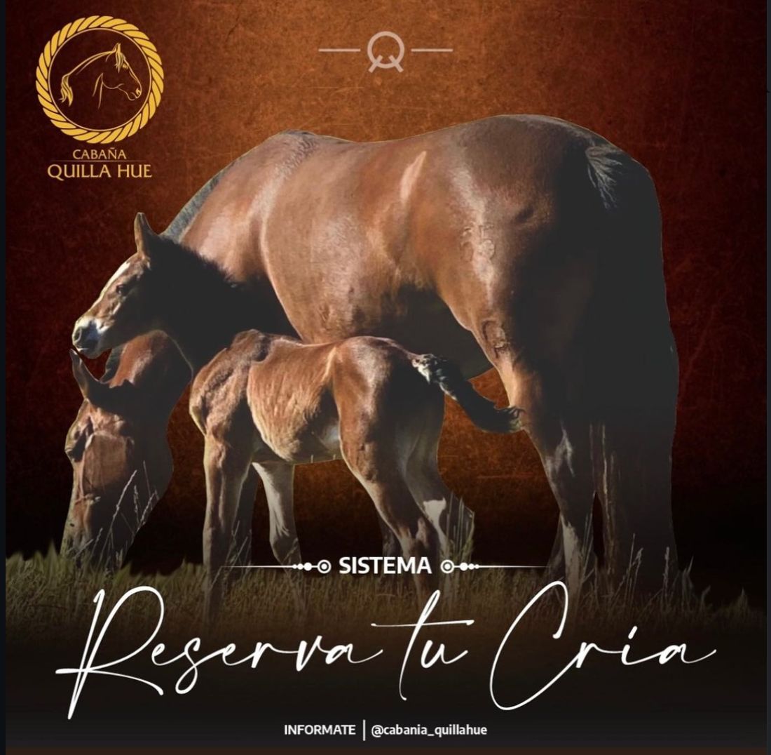 whatsapp image 2026 02 23 at 15.19.17