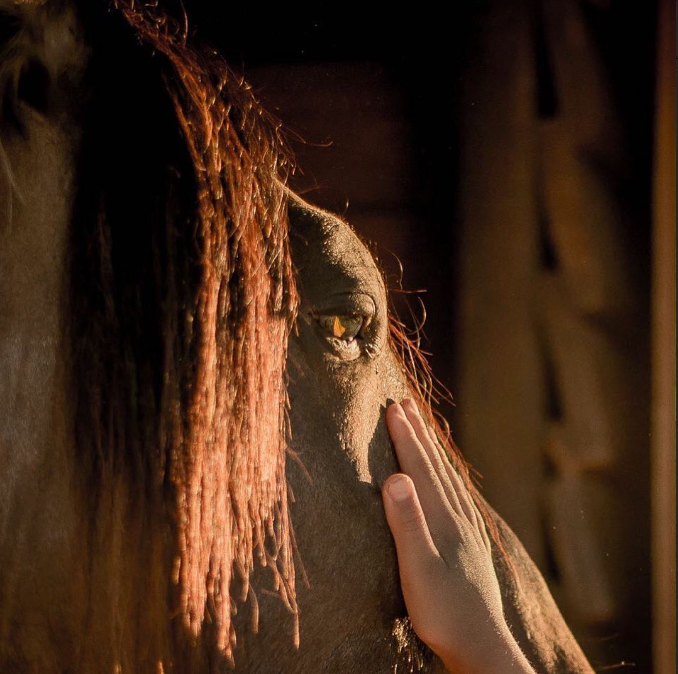 whatsapp image 2026 02 23 at 15.26.23