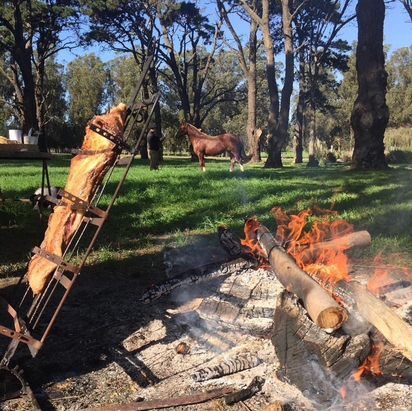 whatsapp image 2026 02 23 at 15.28.31