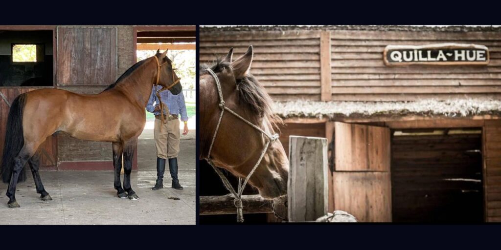 whatsapp image 2026 03 10 at 11.45.09 (1)