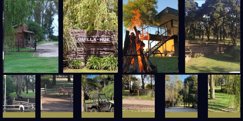 whatsapp image 2026 03 10 at 11.45.09