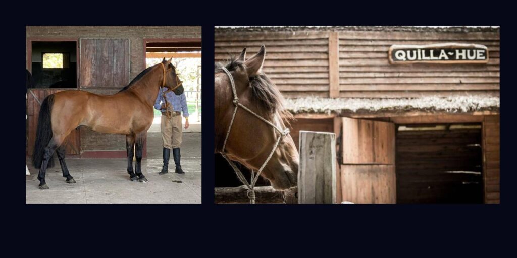 whatsapp image 2026 03 10 at 11.45.10 (1)