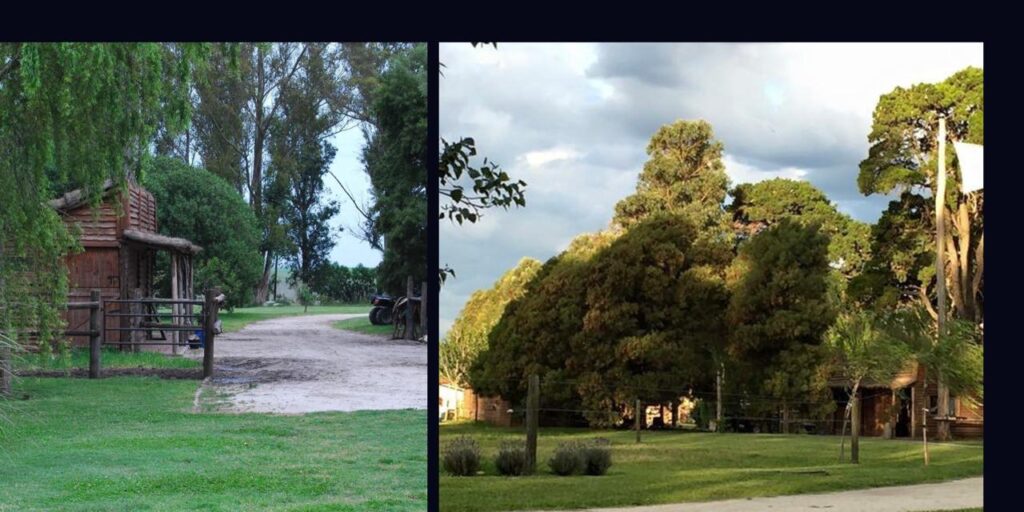 whatsapp image 2026 03 10 at 11.45.10