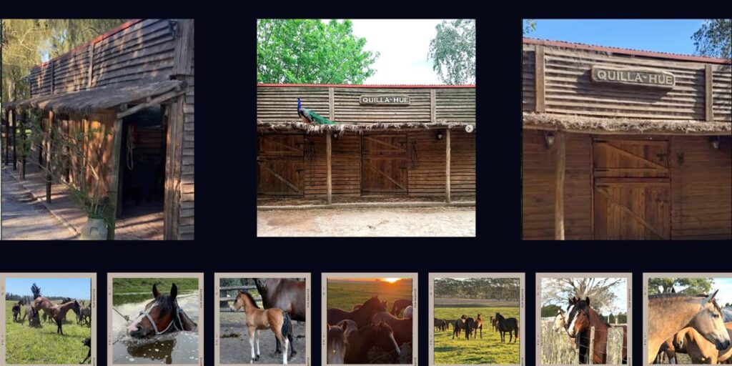 whatsapp image 2026 03 10 at 11.45.10 (2)