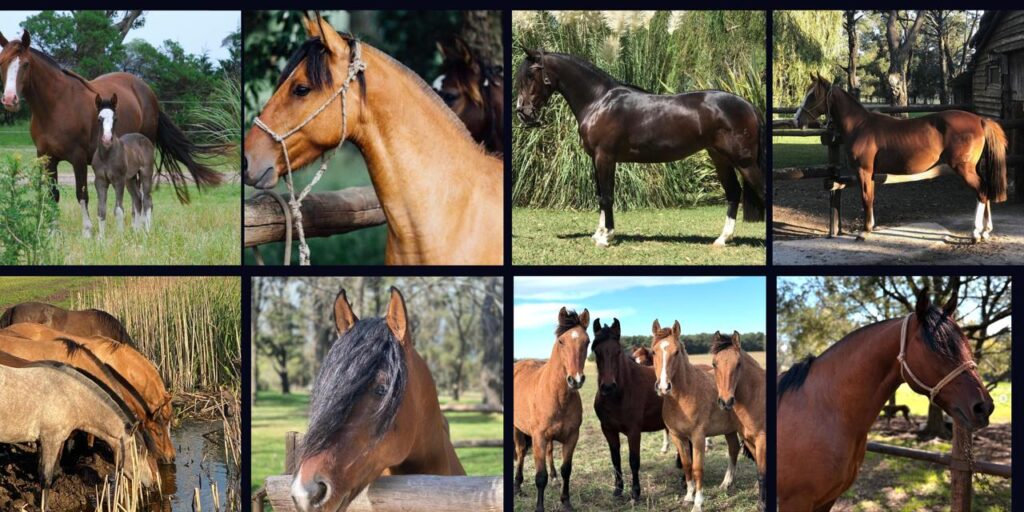 whatsapp image 2026 03 10 at 11.45.11 (1)