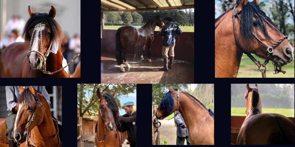 whatsapp image 2026 03 10 at 11.45.11