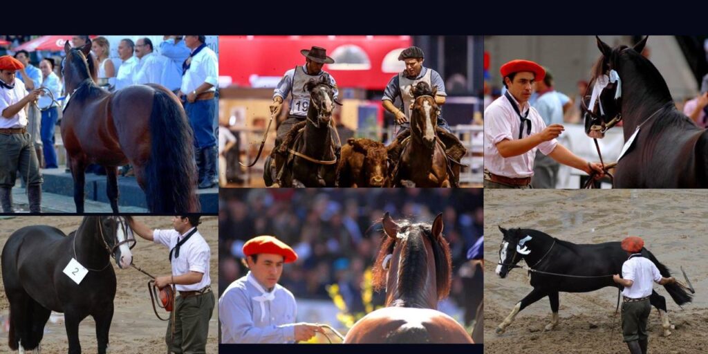 whatsapp image 2026 03 10 at 11.45.12 (1)