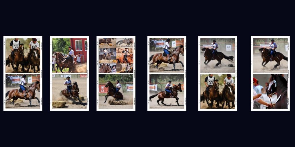 whatsapp image 2026 03 10 at 11.45.12