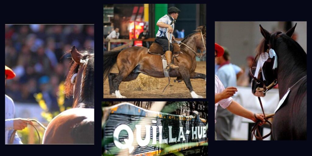 whatsapp image 2026 03 10 at 11.45.13