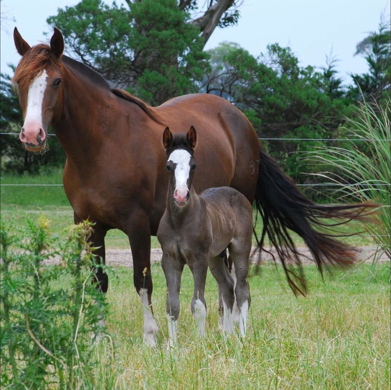 whatsapp image 2026 03 17 at 14.30.46