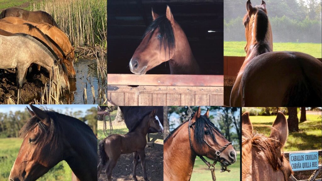 whatsapp image 2026 03 18 at 15.35.20