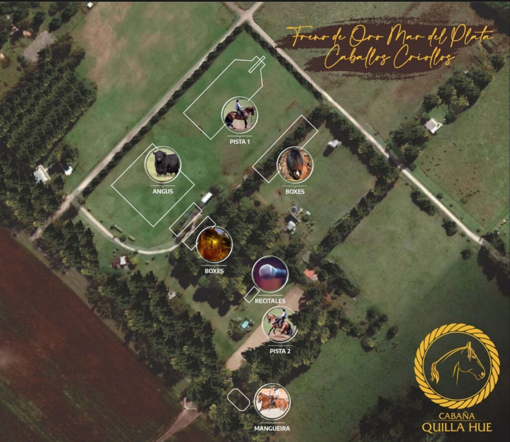 whatsapp image 2026 03 19 at 14.55.45